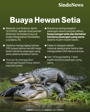 Fakta Mengejutkan, Ternyata...