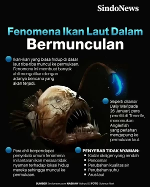 Fenomena Ikan yang Hidup...