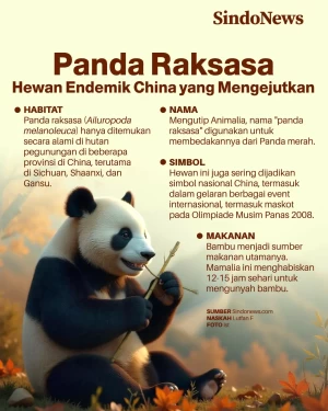Panda Raksasa Hewan...