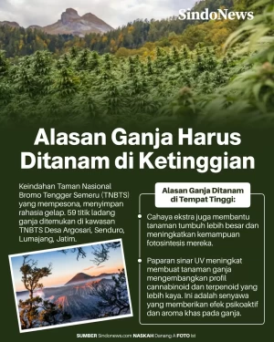 Ini Alasan Mengapa Tanaman...