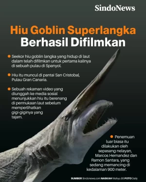 Hiu Goblin Superlangka...