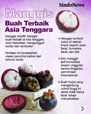 Jadi Buah Terbaik di...