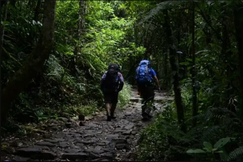Pendakian Gunung Meningkat,...