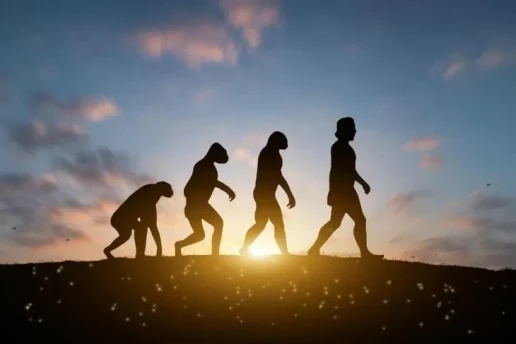 Titik Balik yang Mengubah...