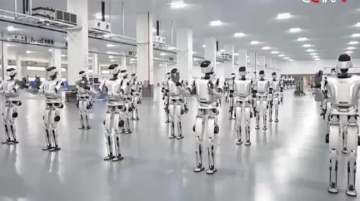 Robot Humanoid Cetak...