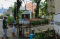 Berwisata di Era New...