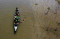 Indahnya Wisata Mangrove...