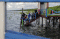 Indahnya Wisata Mangrove...
