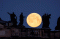 Melihat Indahnya Bulan...