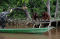 Pulau Salat Rumah Masa...