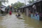 Banjir Rendam Permukiman...