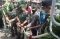 Bahagianya Prajurit...