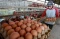 Harga Telur Ayam Ras...