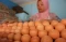 Harga Telur Berangsur...