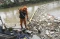 Pembersihan Sampah di...