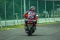 Alami Crash, Fabio Di...