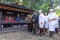 Kenakan Udeng, Anies...