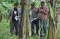 Warga Tulungagung Temukan...