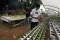 Potret Kampung Berseri...
