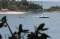 Pantai Senggigi, Primadona...