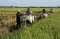 Bertarif Rp10 Ribu Per...