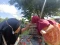 Ziarah Makam Jelang...