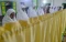 Tarawih Pertama Tarekat...