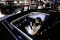Wuling Motors Hadirkan...