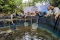 Jurnalis Mancing Indonesia...