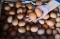 Harga Telur Ayam Ras...