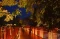Tebet Eco Park Mulai...