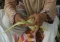 Geliat Penjual Ketupat...