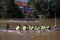 Tradisi Lomba Perahu...