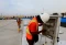 Rampung 100 Persen,...
