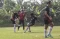 Jadi Pelatih Baru Persija,...