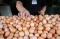 Harga Telur Ayam Ras...
