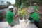 Wujudkan Visi Green...