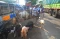 Pasar Hewan Ditutup,...