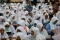 Keberangkatan 393 Jemaah...