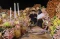Melihat Wedding Showcase...