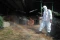 Penyemprotan Disinfektan...