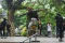 Unjuk Aksi Skaters Palembang...
