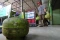 Beli LPG 3 Kg Kini Wajib...