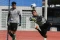 Melihat Latihan Timnas...