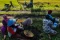 BPS : Harga Gabah Kering...
