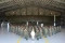 Elang-Elang Muda TNI...