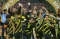 Momen Kemenangan Timnas...