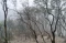Pesona Wisata Alam Kawah...
