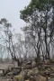 Pesona Wisata Alam Kawah...