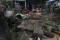 Banjir Bandang Terjang...